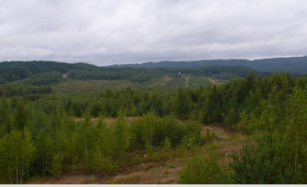 Nová naučná stezka Tok v chráněné krajinné oblasti Brdy je dlouhá téměř osm kilometrů